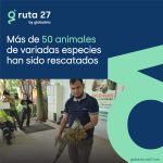 Rescatan más de 50 animales en ruta 27 durante los últimos tres años