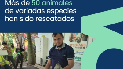 300538707_5310700189038230_4339595953465404866_n